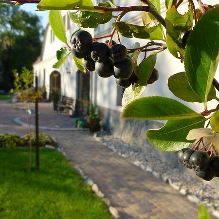 Villa Aronia Park Lubiechowa Esterno foto