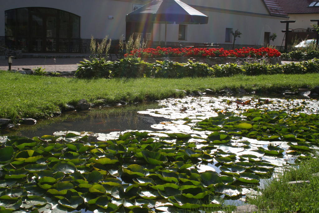 Villa Aronia Park Lubiechowa Esterno foto