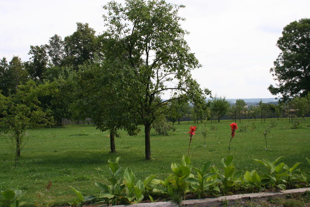 Villa Aronia Park Lubiechowa Esterno foto
