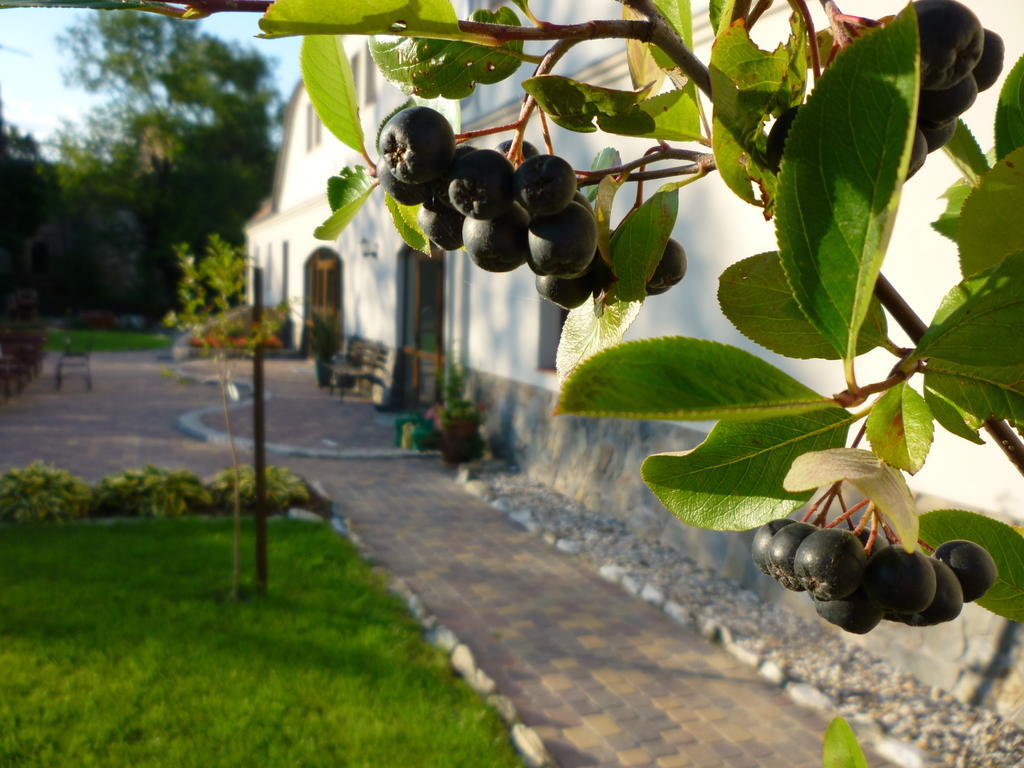 Villa Aronia Park Lubiechowa Esterno foto